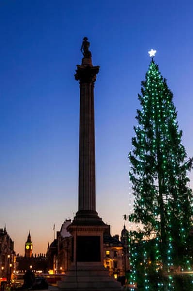 trafalgar square christmas tree choinka londyn