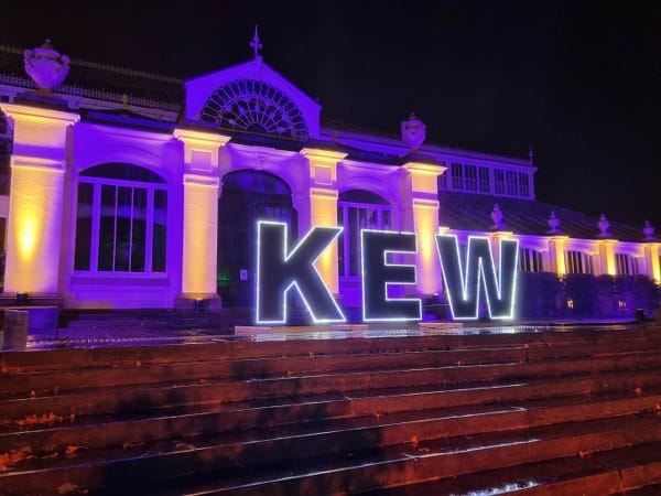 Kew gardens Christmas boże narodzenie 2022