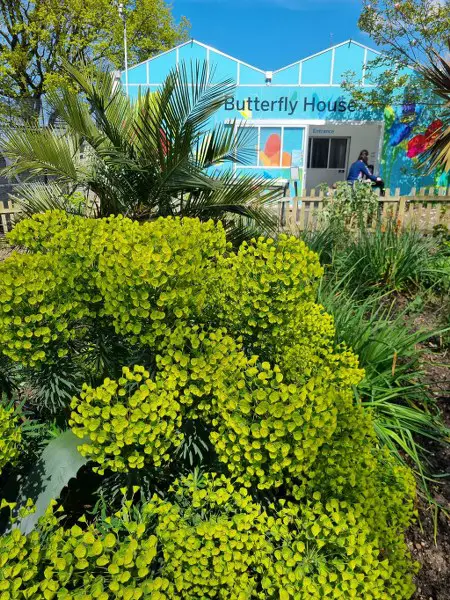 HORNIMAN MUSEUM AND GARDENS - WIELE ATRAKCJI W 1 MIEJSCU