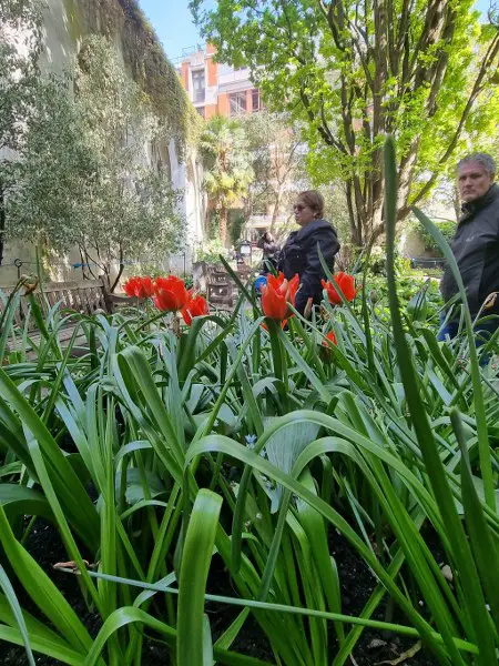 CO CIEKAWEGO MOŻNA ZWIEDZIĆ W POBLIŻU SKY GARDEN?