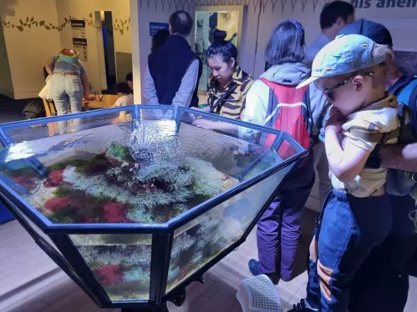 HORNIMAN MUSEUM AND GARDENS - WIELE ATRAKCJI W 1 MIEJSCU