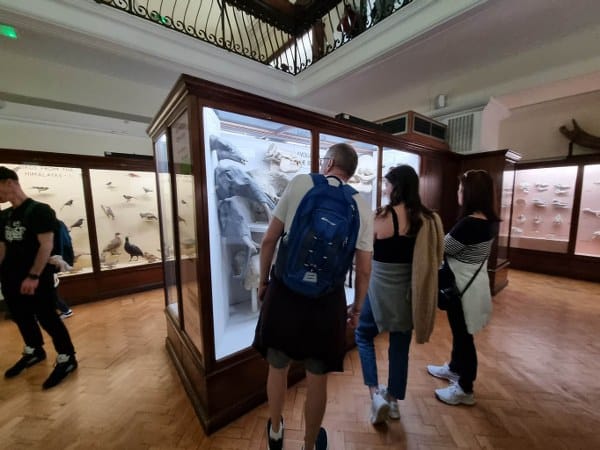 HORNIMAN MUSEUM AND GARDENS - WIELE ATRAKCJI W 1 MIEJSCU