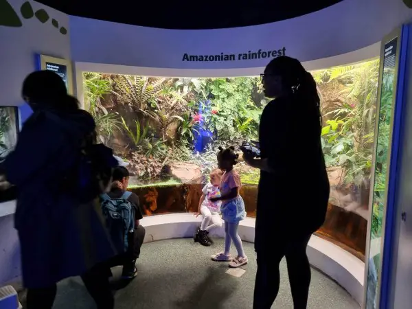 HORNIMAN MUSEUM AND GARDENS - WIELE ATRAKCJI W 1 MIEJSCU