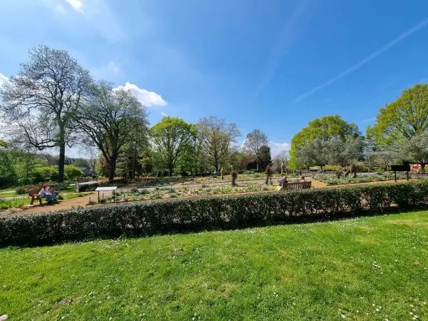 HORNIMAN MUSEUM AND GARDENS - WIELE ATRAKCJI W 1 MIEJSCU