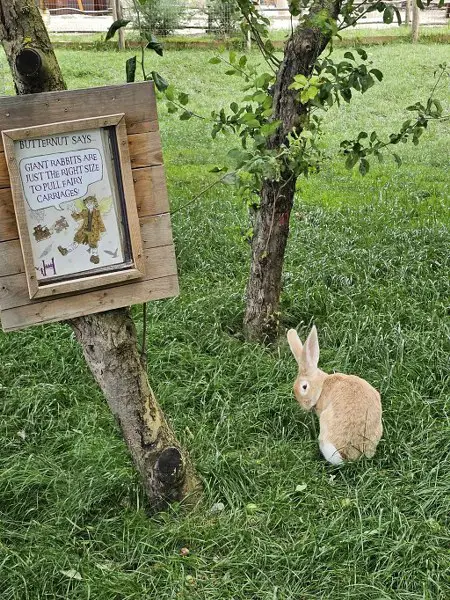 HOBBLEDOWN HEATH - PARK ROZRYWKI I MINIZOO W JEDNYM